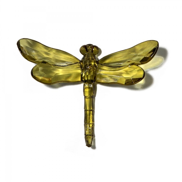 Olive Dragonfly with Spike